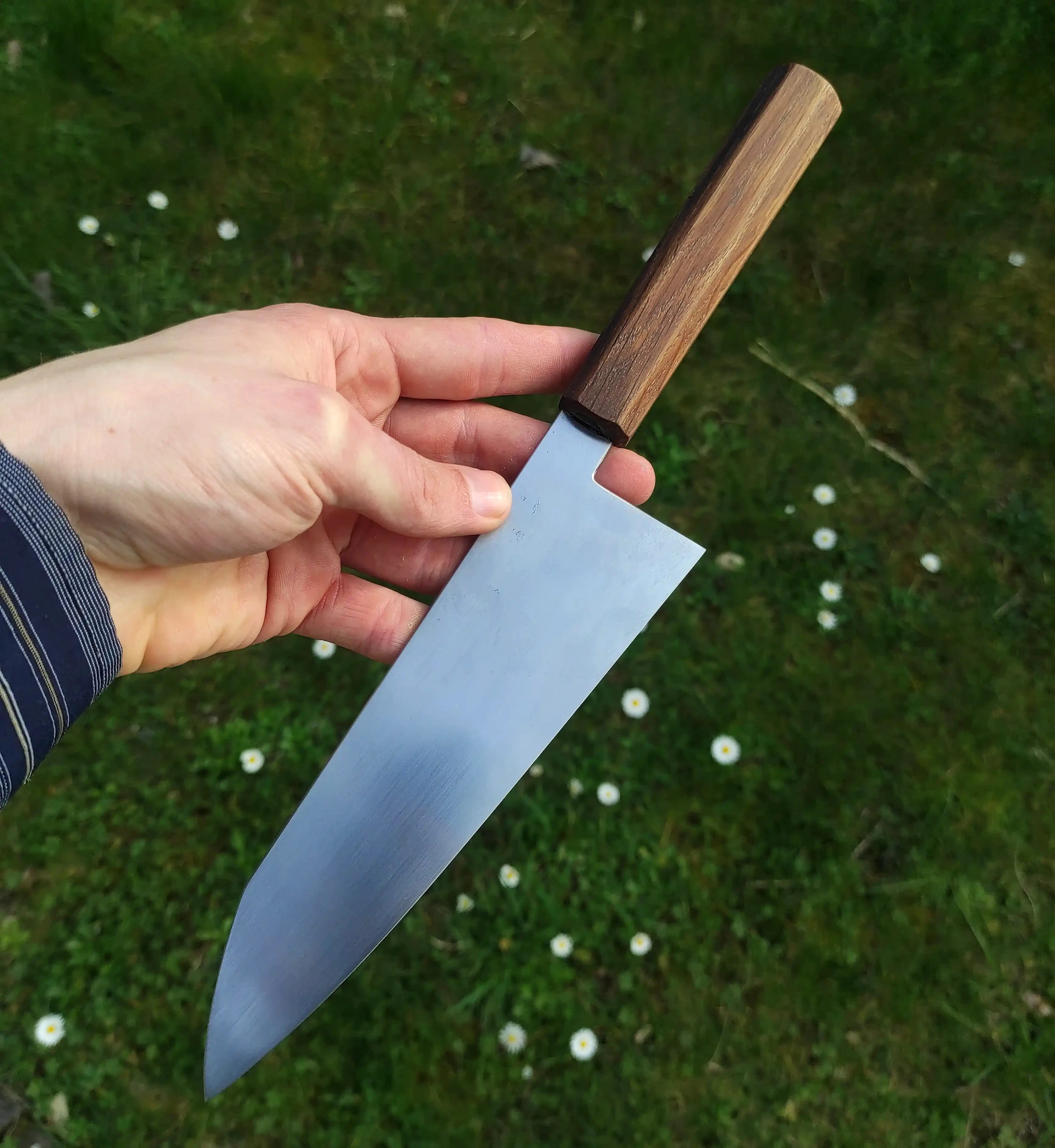 Picture of a gyuto knife