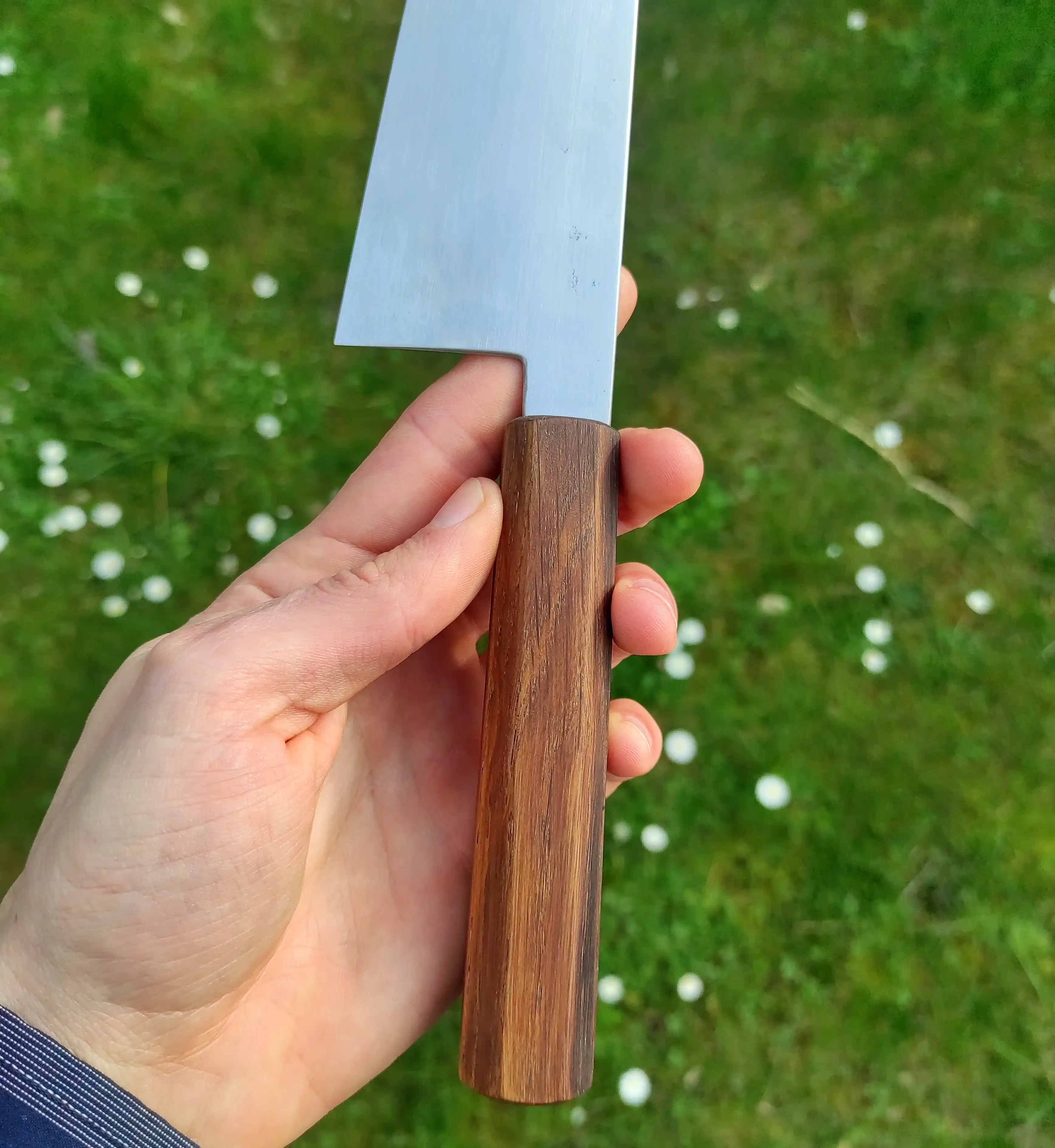 Picture of a gyuto knife