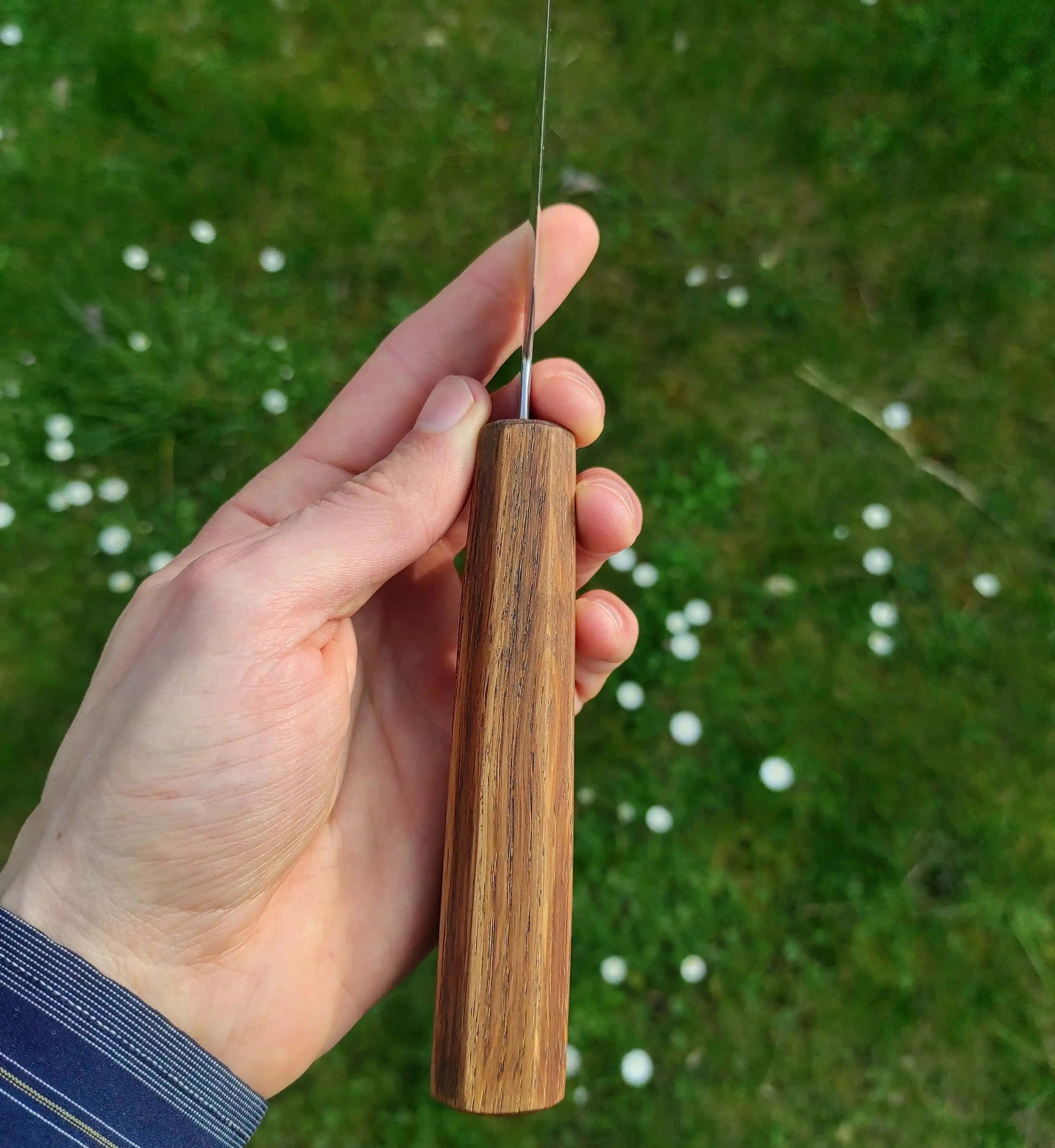 Picture of a gyuto knife