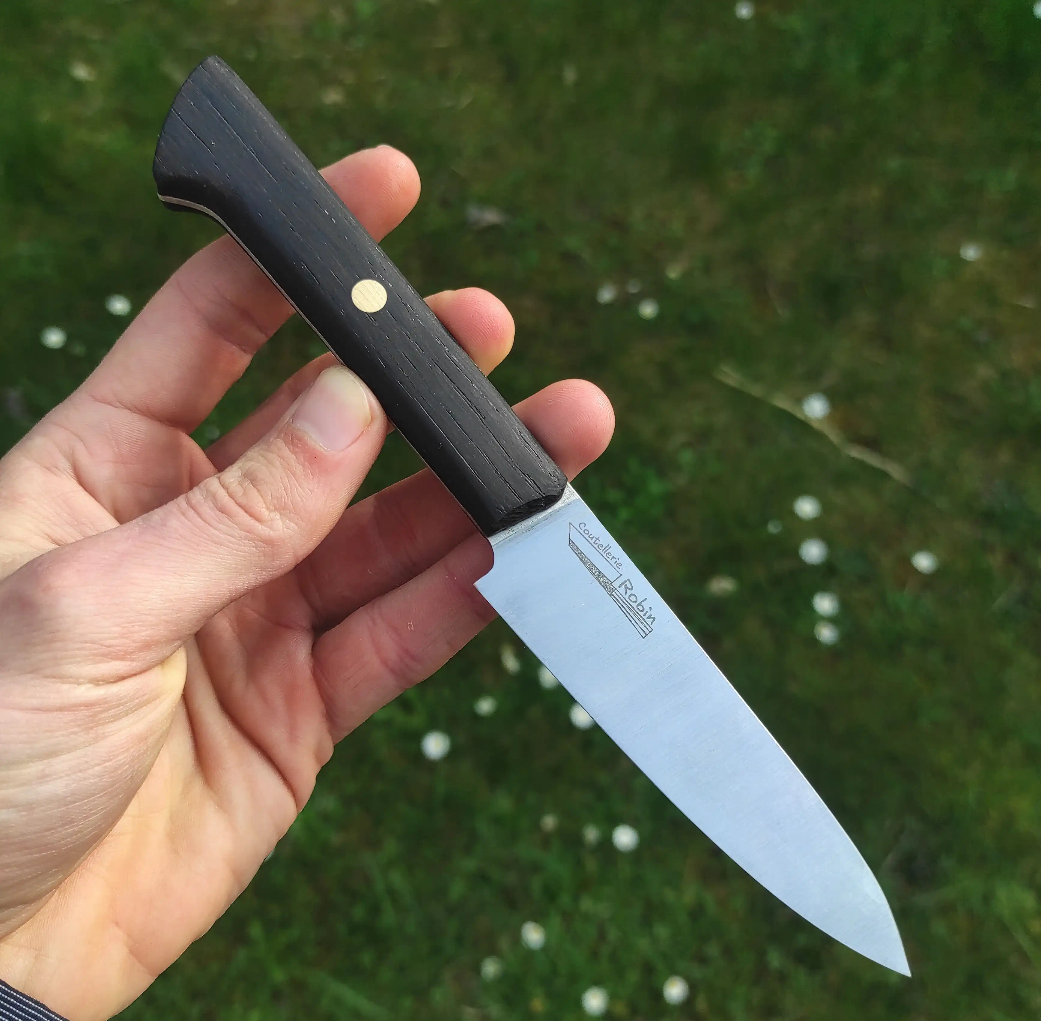 Picture of a gyuto knife