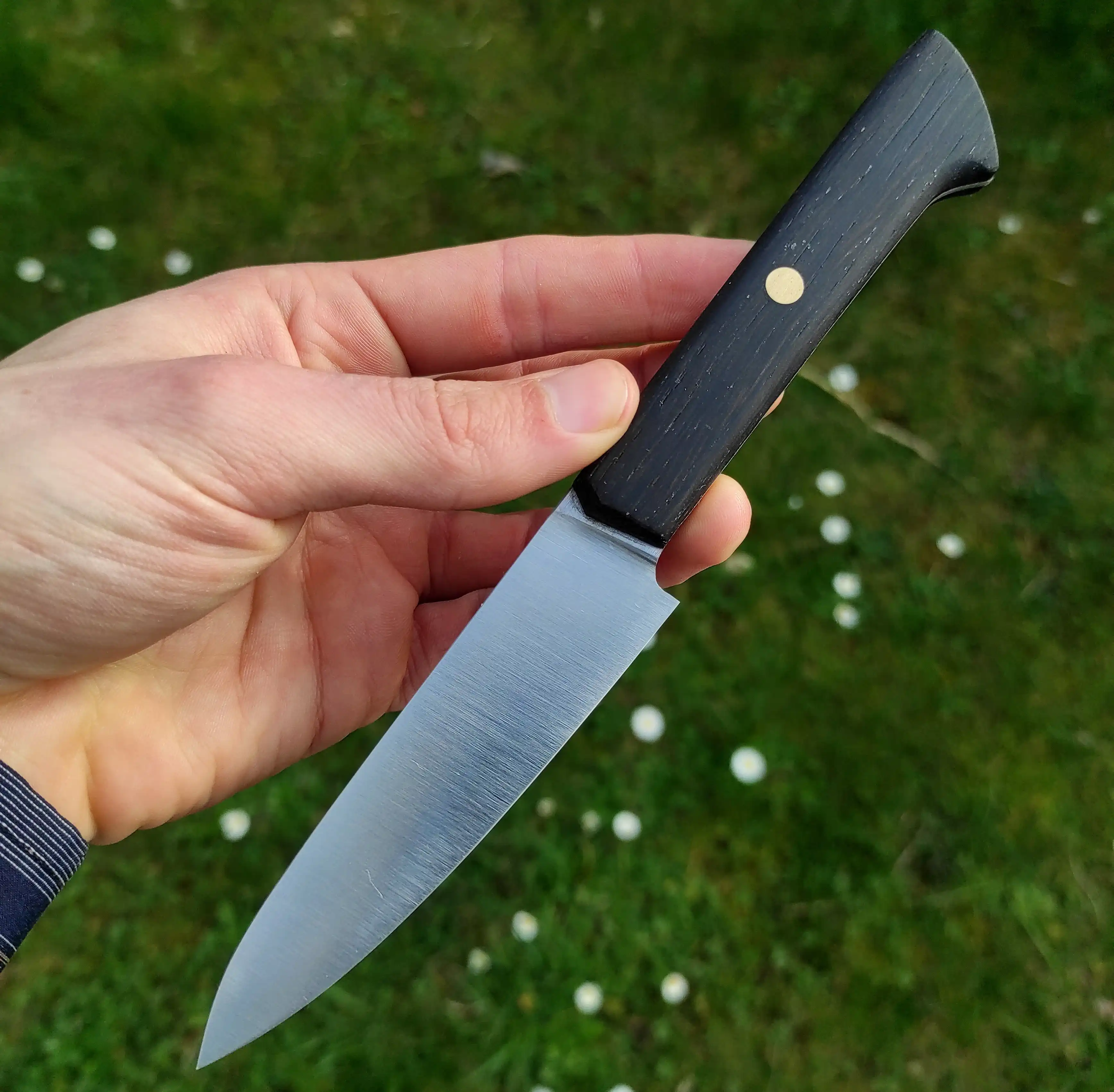 Picture of an office knife