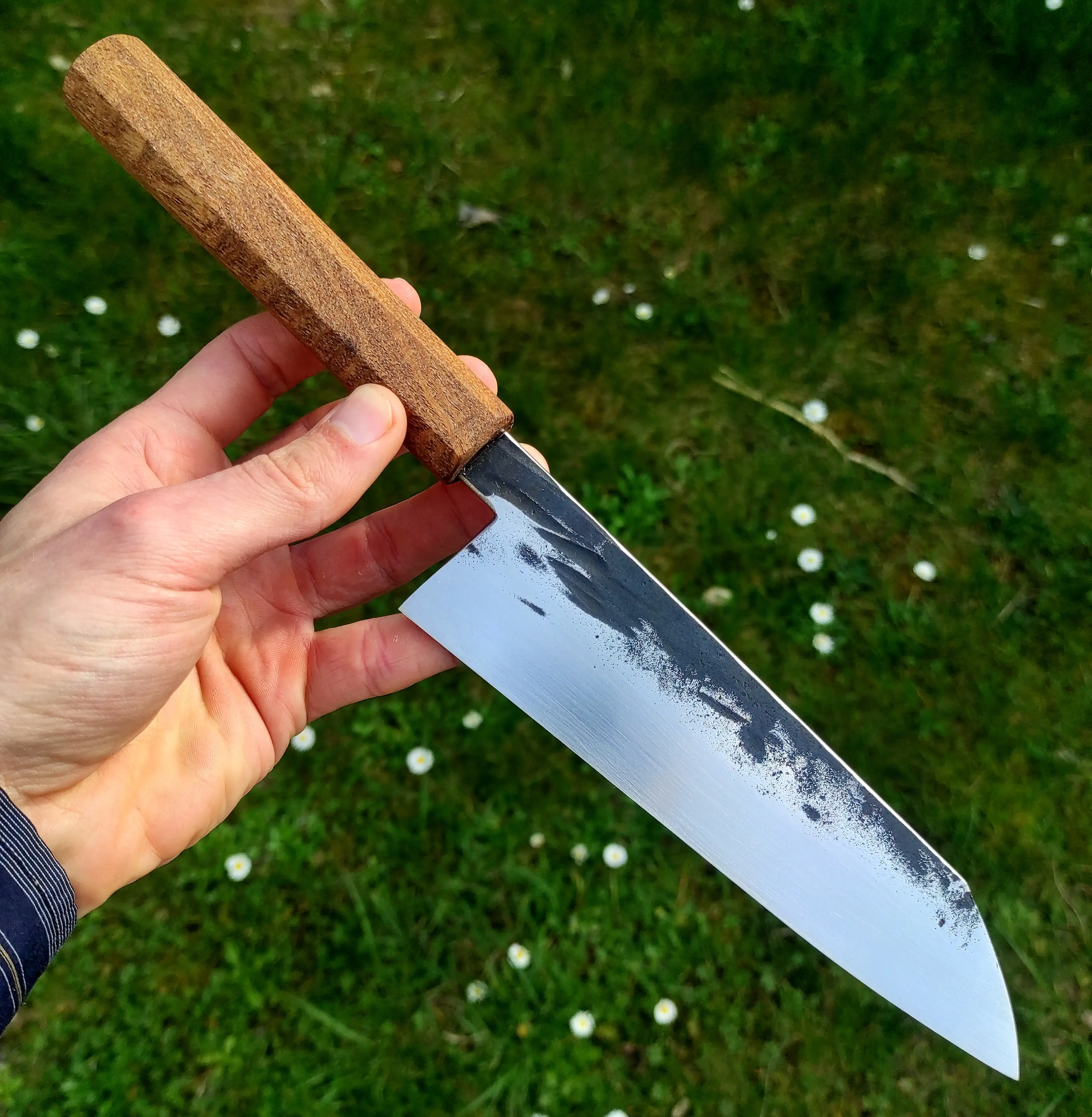 Picture of a forged gyuto knife
