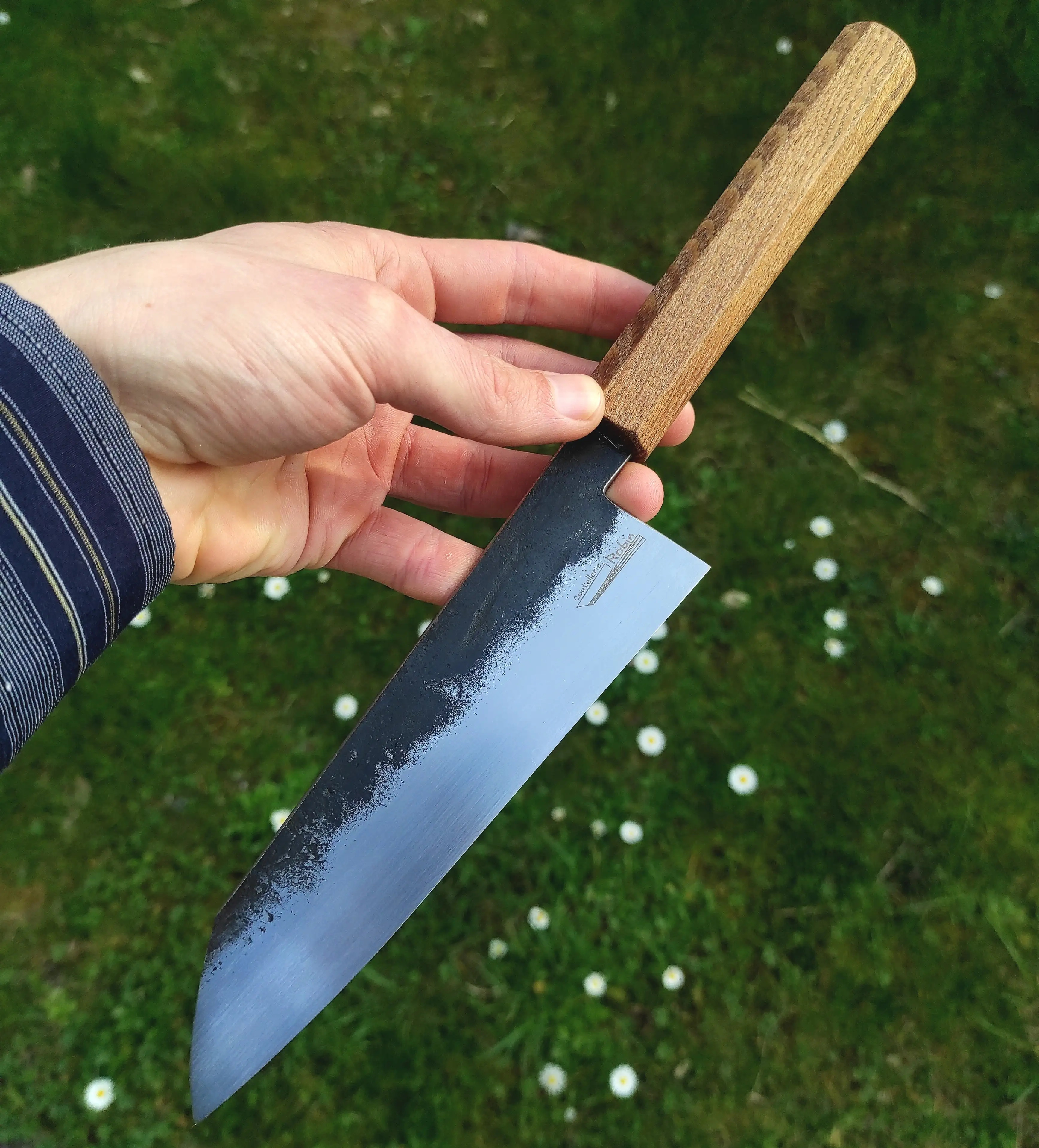 Picture of a gyuto knife