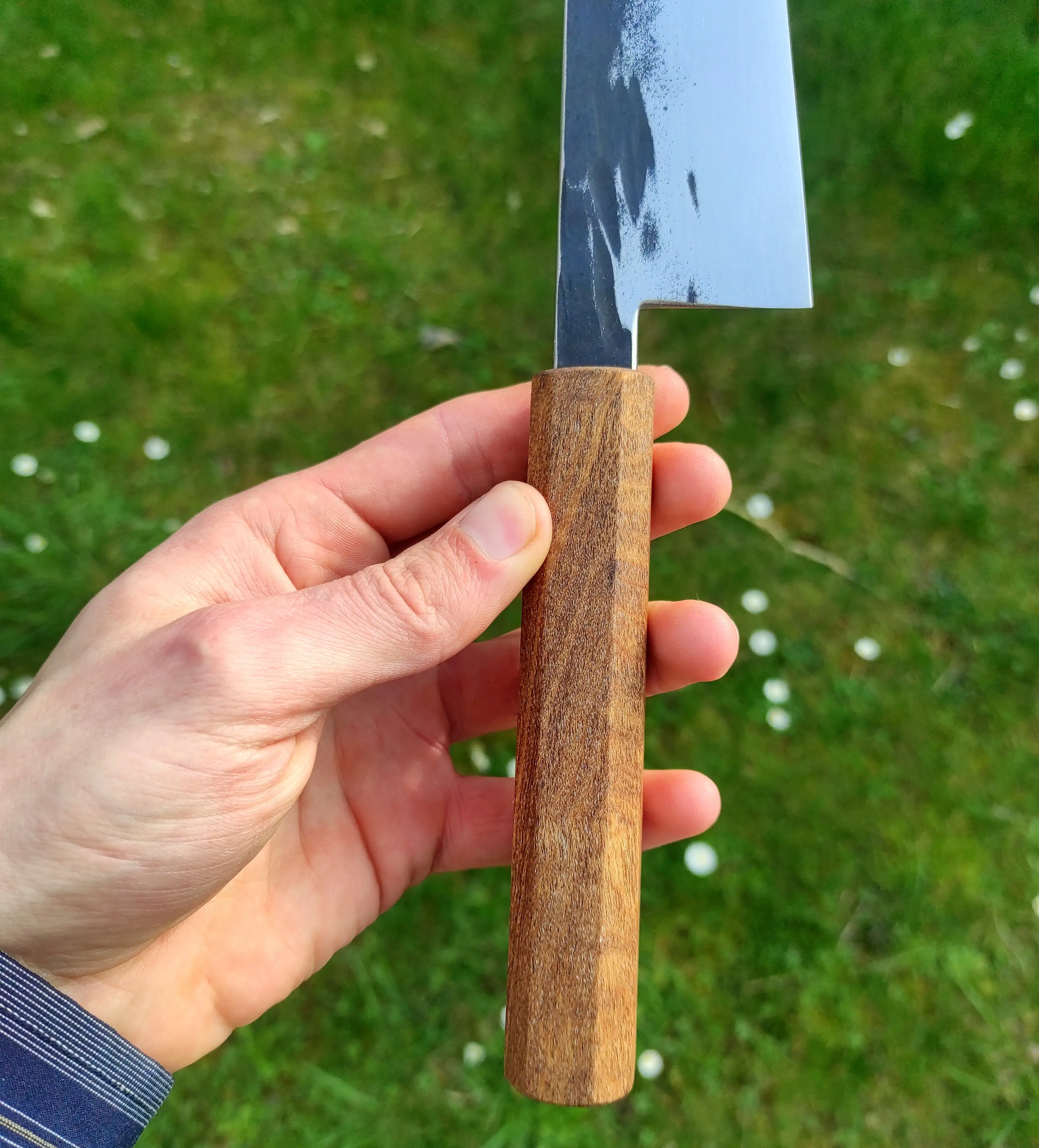 Picture of a gyuto knife