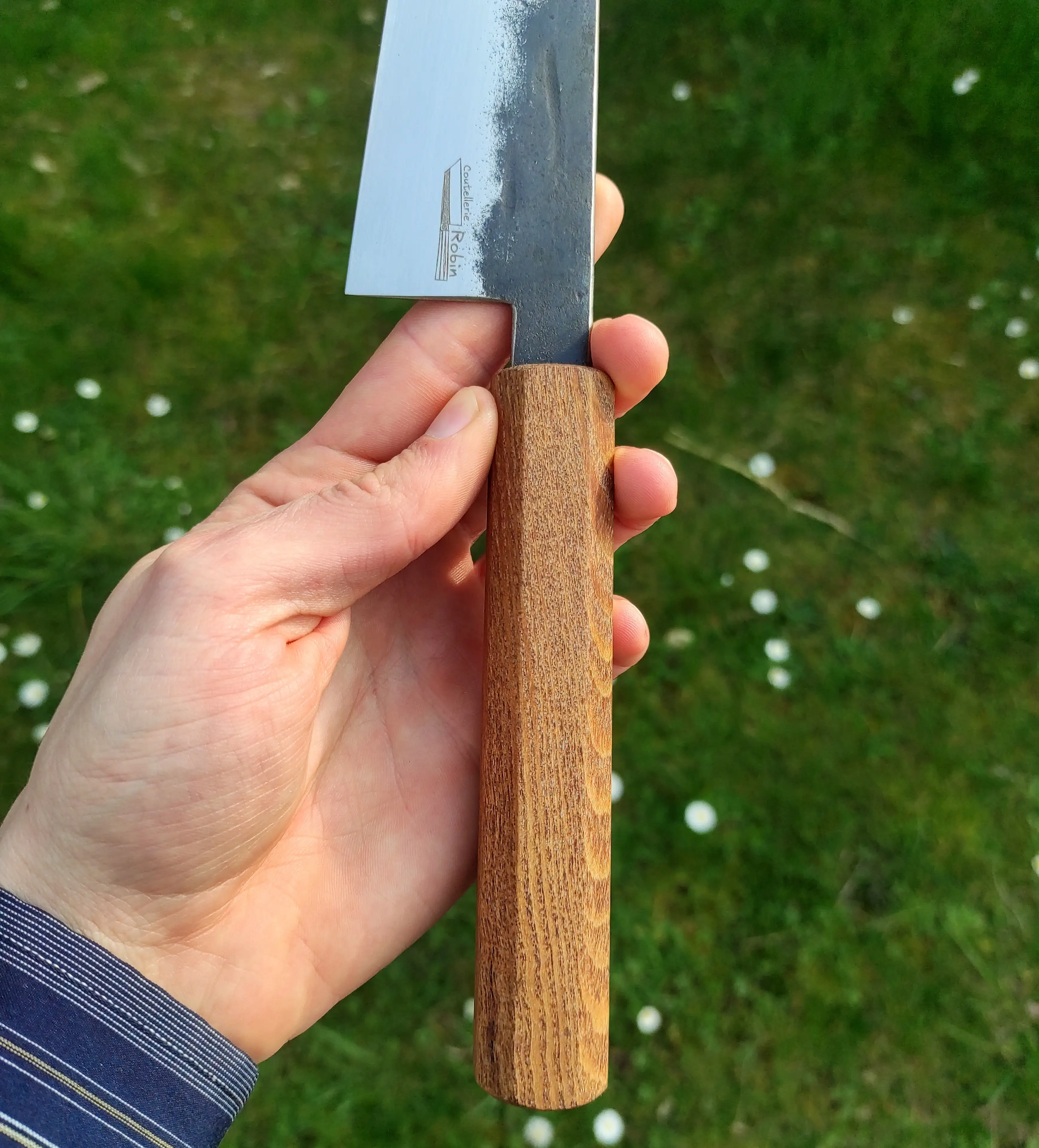 Picture of a gyuto knife