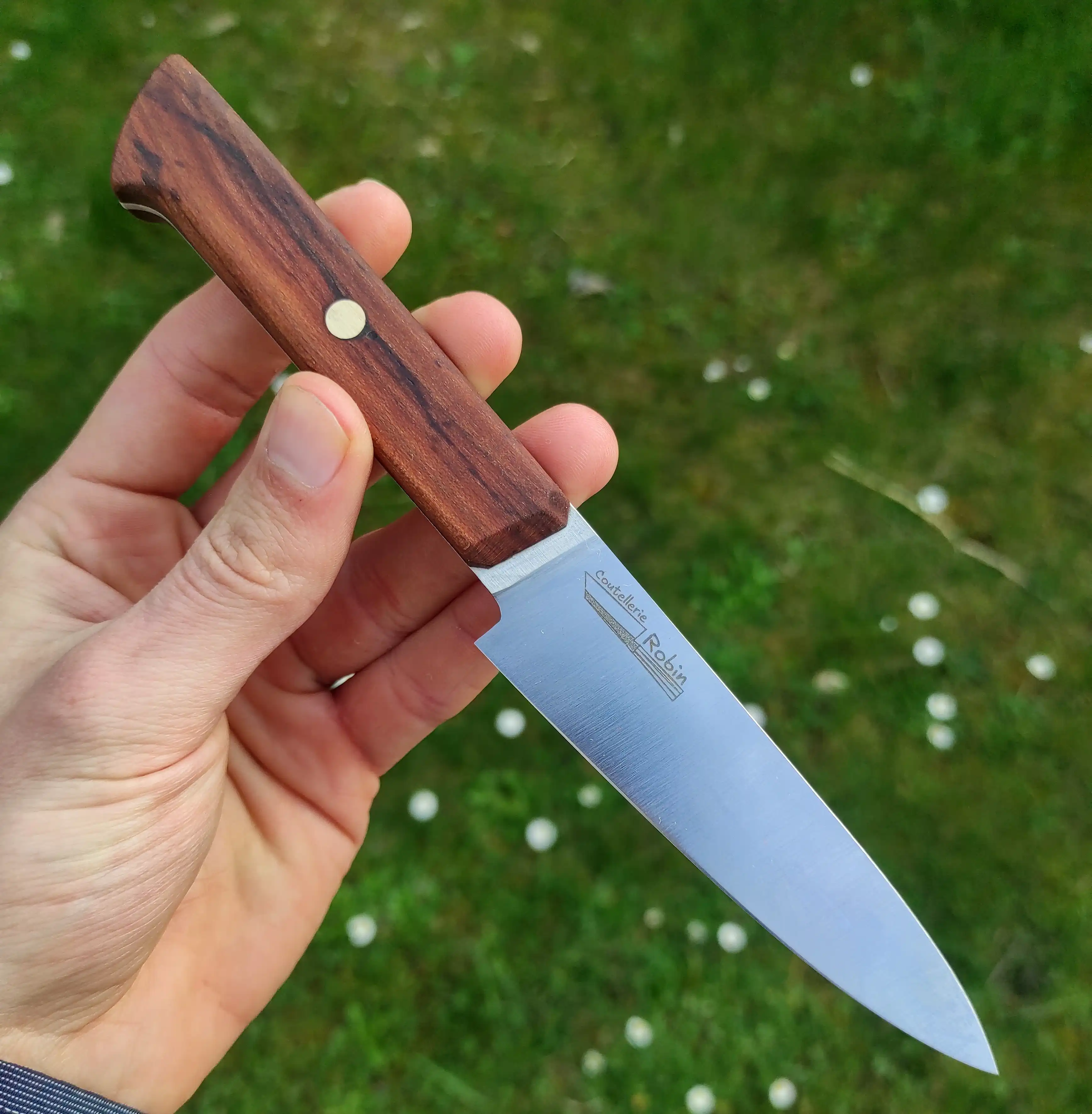 Picture of an office knife