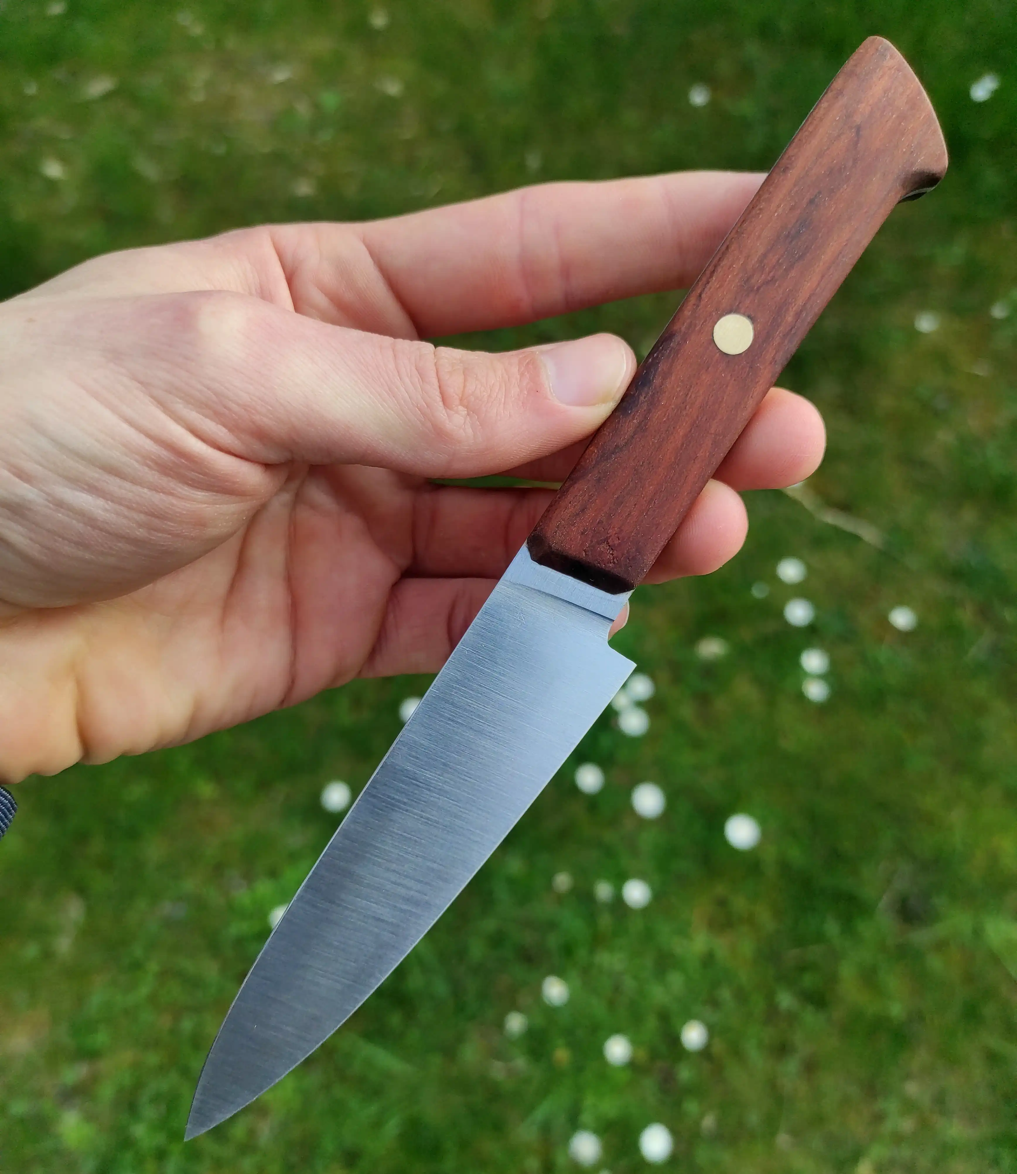 Picture of an office knife