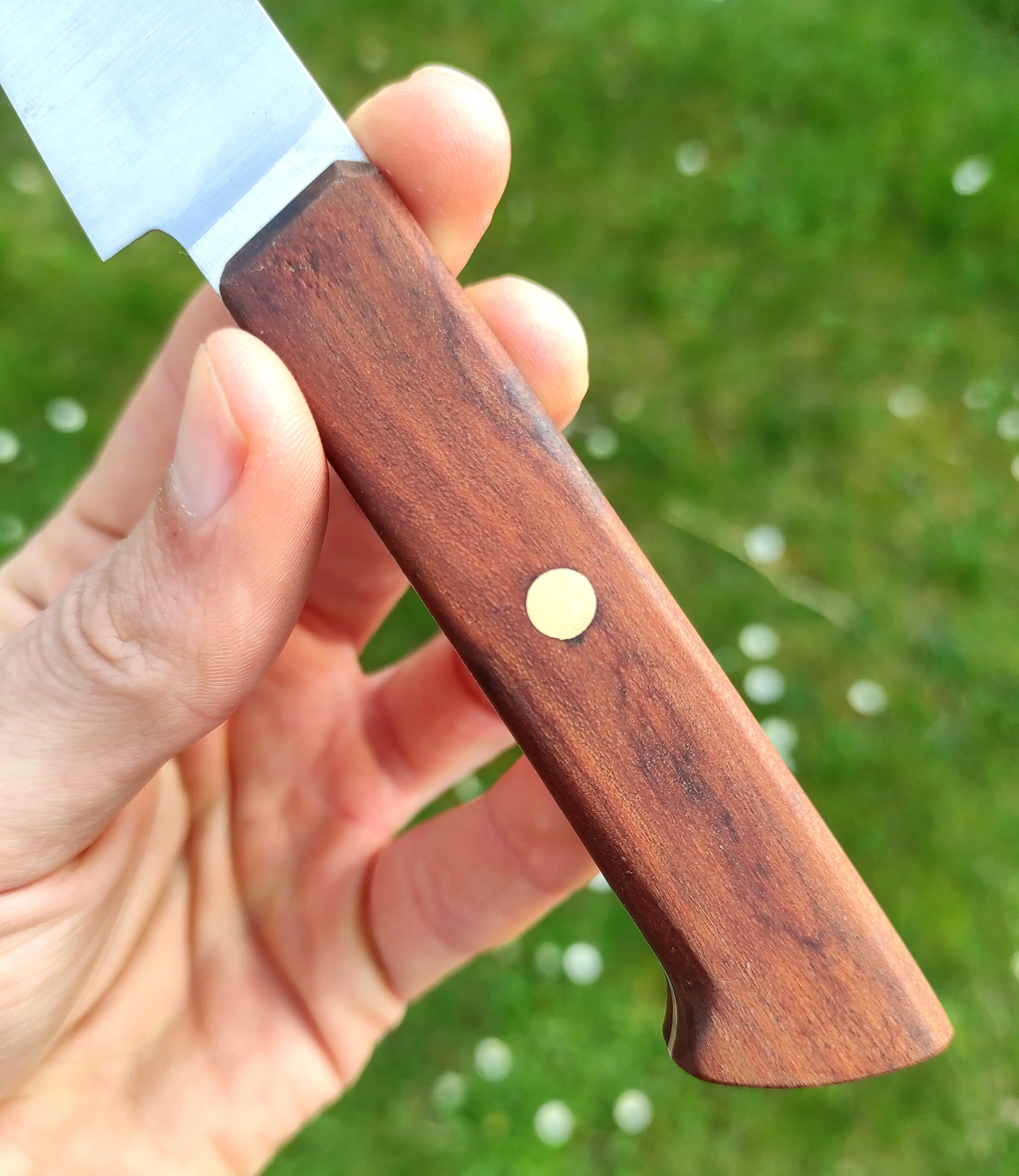 Picture of an office knife