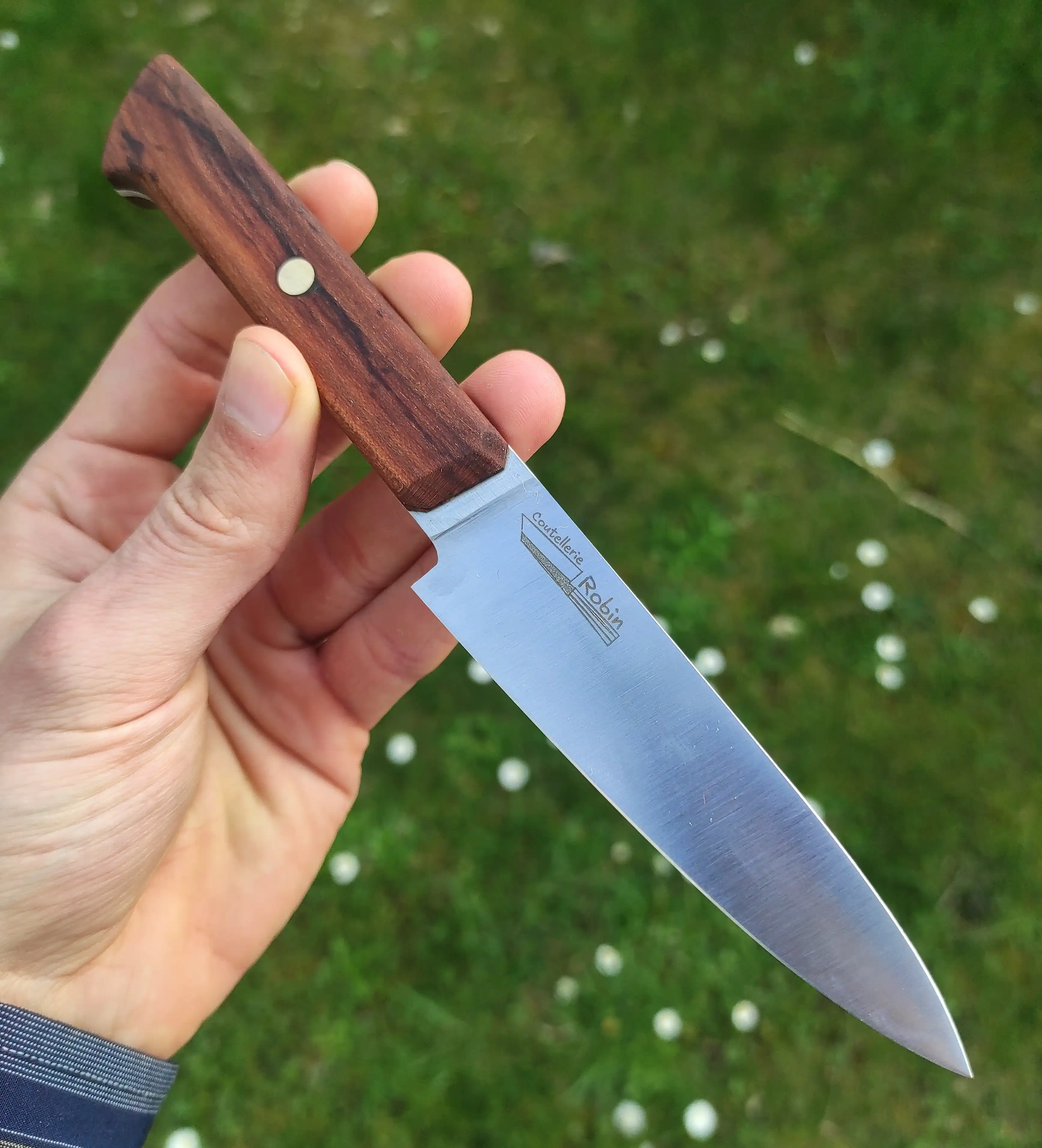 Picture of an office knife