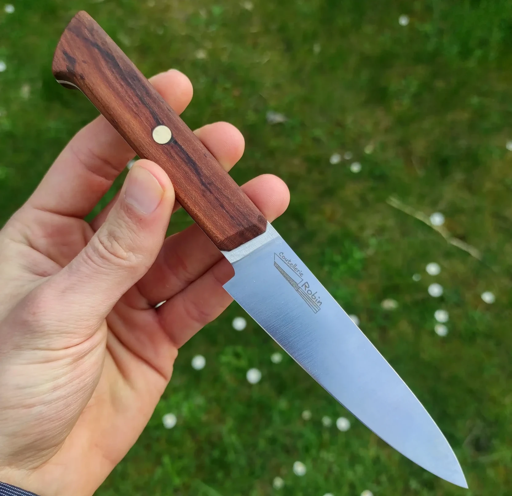 Picture of an office knife held by hand over a grass background